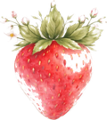 Princess Strawberry
